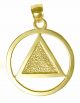 13-1 14k Gold Pendant